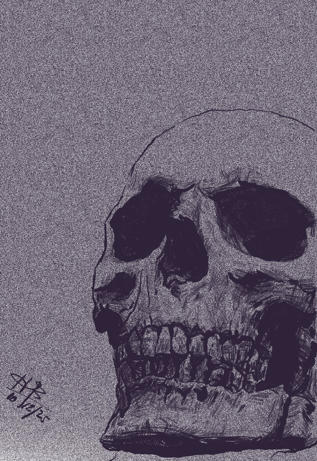 Grainy purple-toned drawing of a skull in three-quarter view